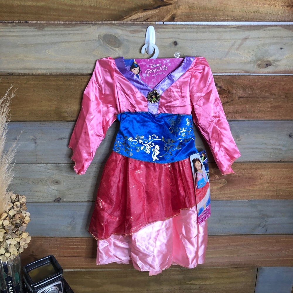 Disney Princess Dress